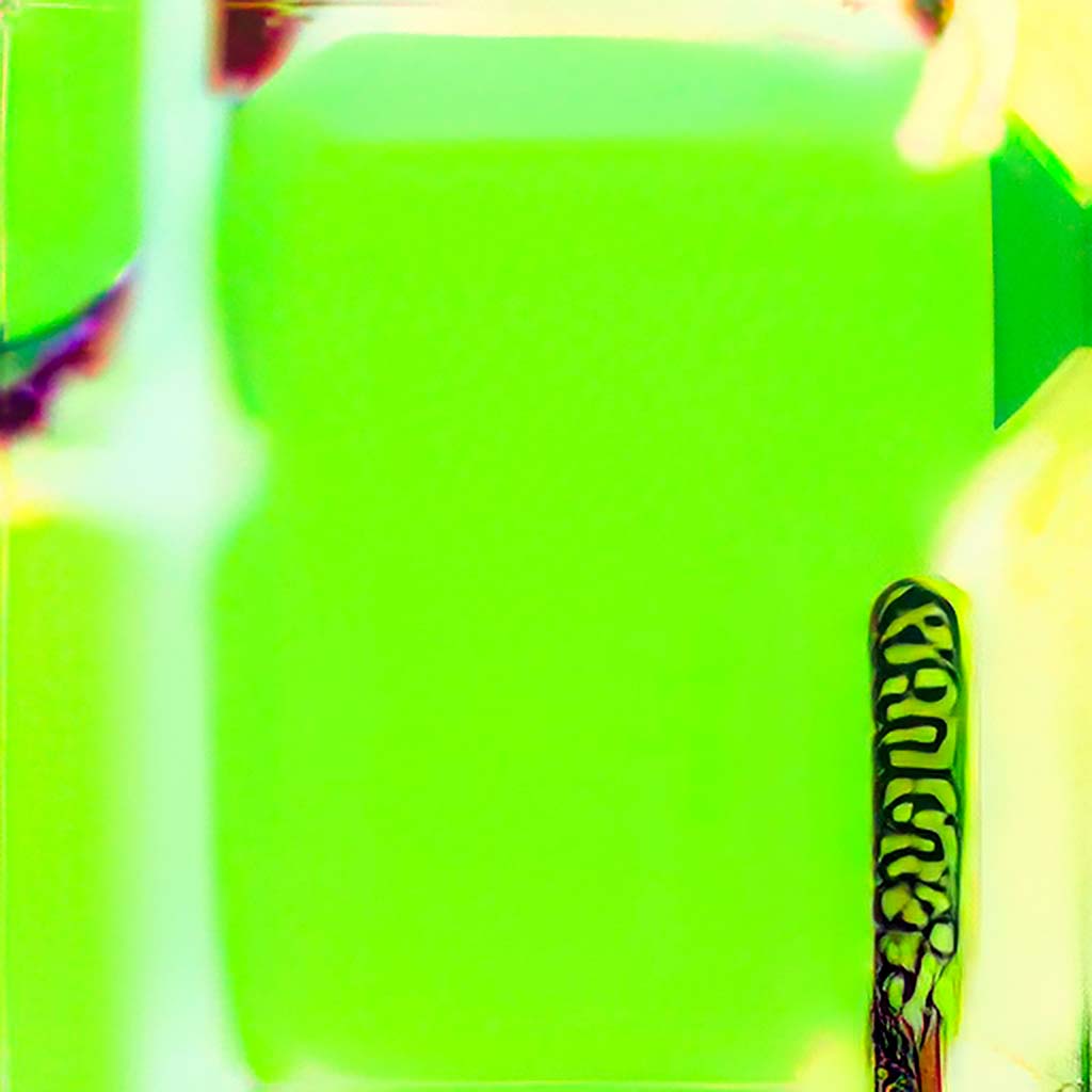 A Green Square With a Butterfly on It (QS 46)