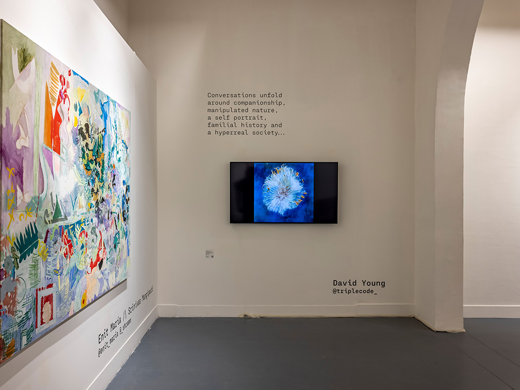 Exhibition view, 'Terrain Offline,' Bikaner House, Delhi, 2021