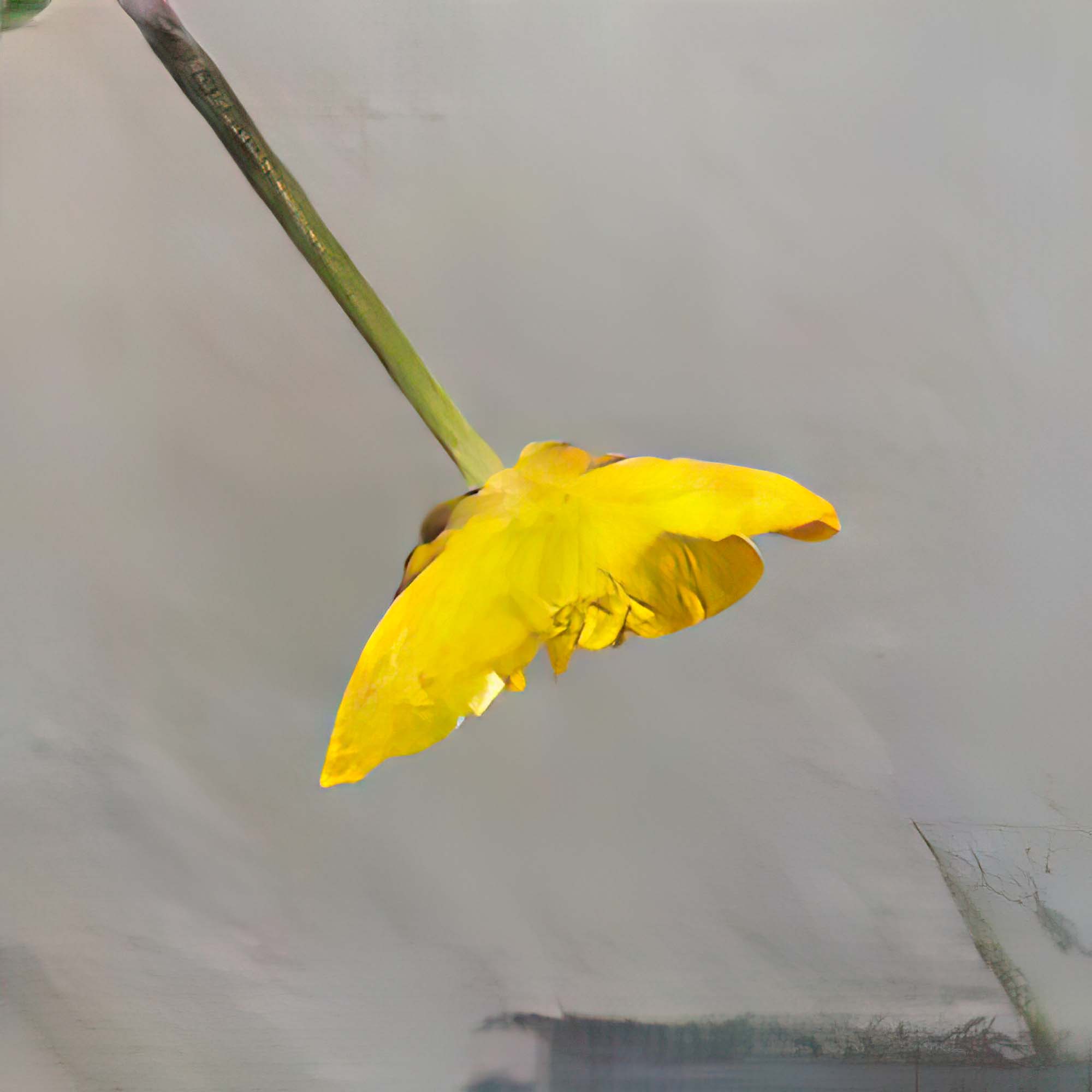 Learning Nature, AI artwork by David Young