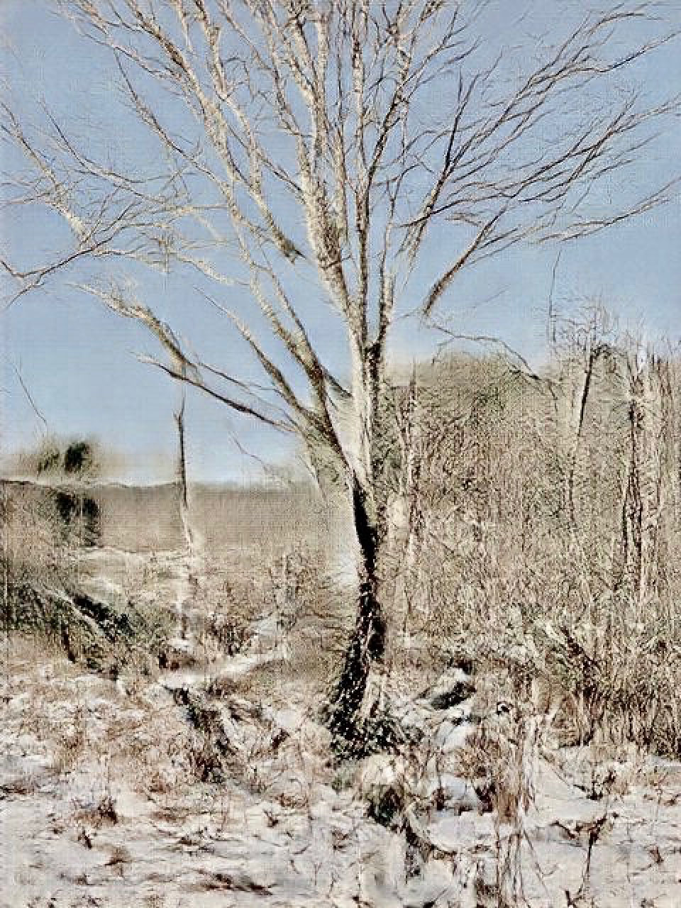 Winter Woods, AI artwork by David Young